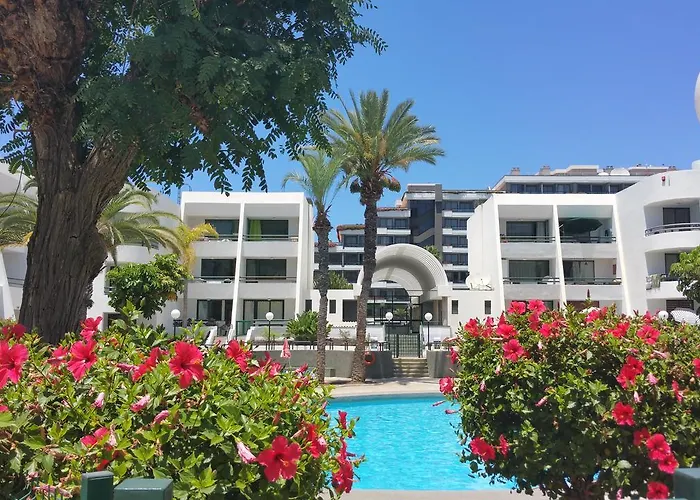 Optimist Tenerife Playa de las Americas (Tenerife)